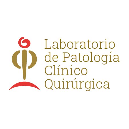 logo_Mesa de trabajo 1 copia